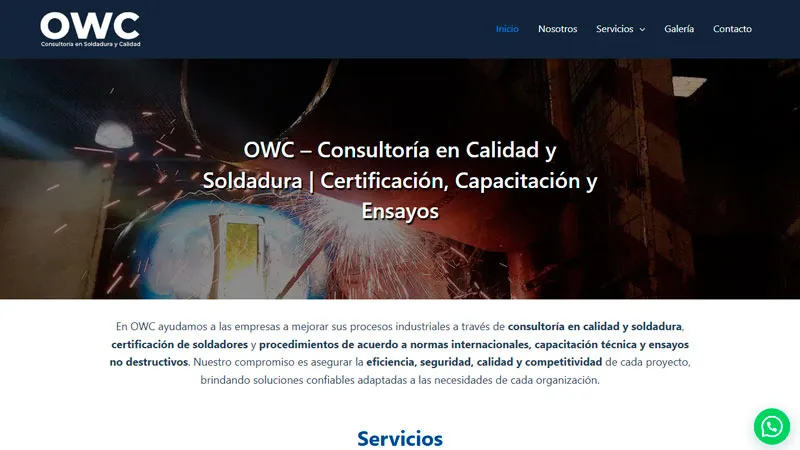 Diseño de Paginas Web para Negocios